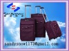 purple EVA luggage