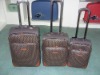 pvc trolley case