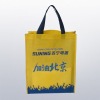 recycle shopping bag