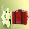 red  Cooler Bags fot travel