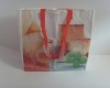 reusable promotion bag