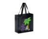 reusable shopping bag