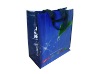 reusable shopping bag