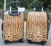 sexy and special hot girl 18 inch /20 inch  plastic luggages/cases