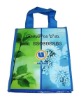 shopping bag(DFY-B003)