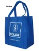 shopping bag,non woven bag , gift bag , promotion bag , tote bag , mini bag