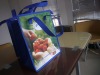 shopping cooler bag