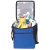 shopping cooler bag