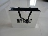 shopping gift bag for 2011