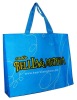 shopping non woven bag