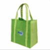 shopping non woven bag