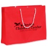 shopping paper bag(2011 new design)