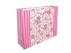 shopping paper bag(2011 new design)