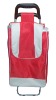 shopping trolley bag