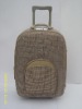 shopping trolley case