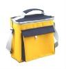 shoulder cooler bag