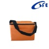 shoulder eco non woven insulated bag