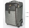 silver gray emnient luggages