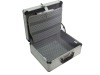 silver hair beauty case