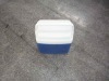 small ice cooler box