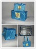 small large cooler bag