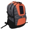 solar bag FS-B06