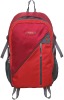 sport bag,backpack,leisure bag