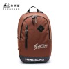 sport laptop backpack China famous brand-Kingsons