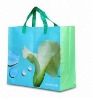 stocklot PP shopping bag