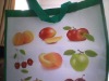 stocklot lamination nonwoven shopping bag