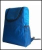 storage food cooler back pack