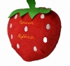 strawberry CD bag