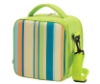 stripe cooler lunch bag
