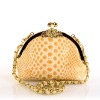 stylish fashion clutch bag