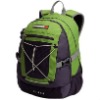 stylish school daily backpack