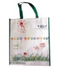 supermarket shopping bag