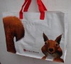 supermarket shopping bag