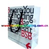 supply various Fashion shopping Paper bag
