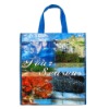 tnt bag