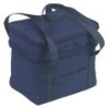 tote beach cooler