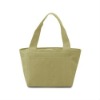 tote cooler bag