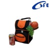 tote frozen food cooler bag