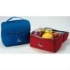 tote lunch cooler kit