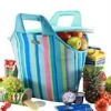 tote stylish cooler bag