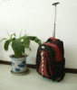 travel bag with trolley