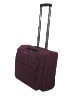 travel case,trolley case