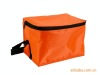 travel ice bag