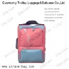 travel luggage