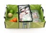 travelling ice bag