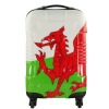 travelling luggage case